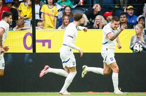 สวีเดน vs เซอร์เบีย