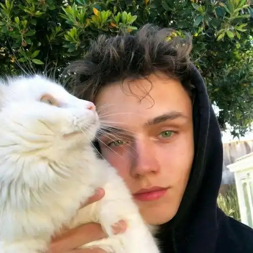 6686体育签约作者Coral