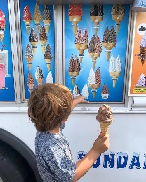 6686体育官方作者紫色蒲公英